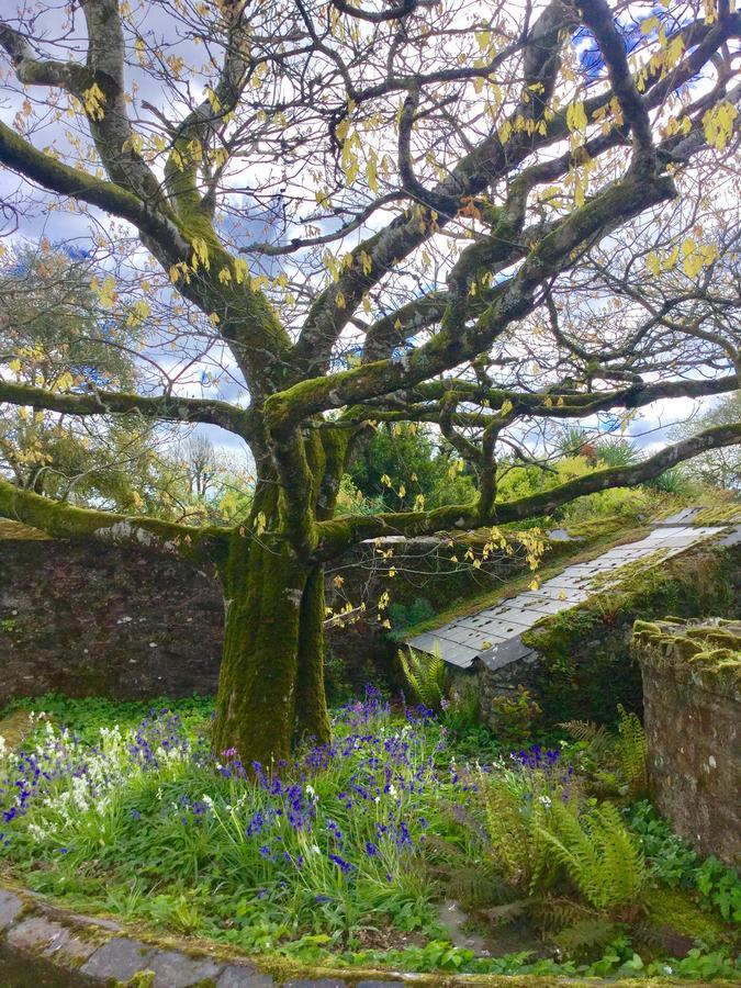 Willowhill House Minane Bridge Buitenkant foto