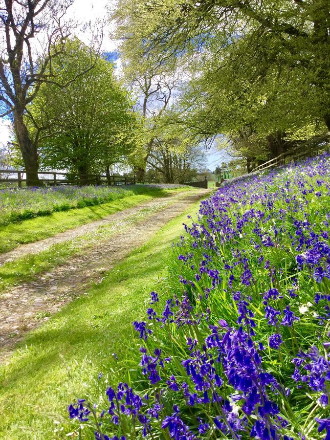 Willowhill House Minane Bridge Buitenkant foto