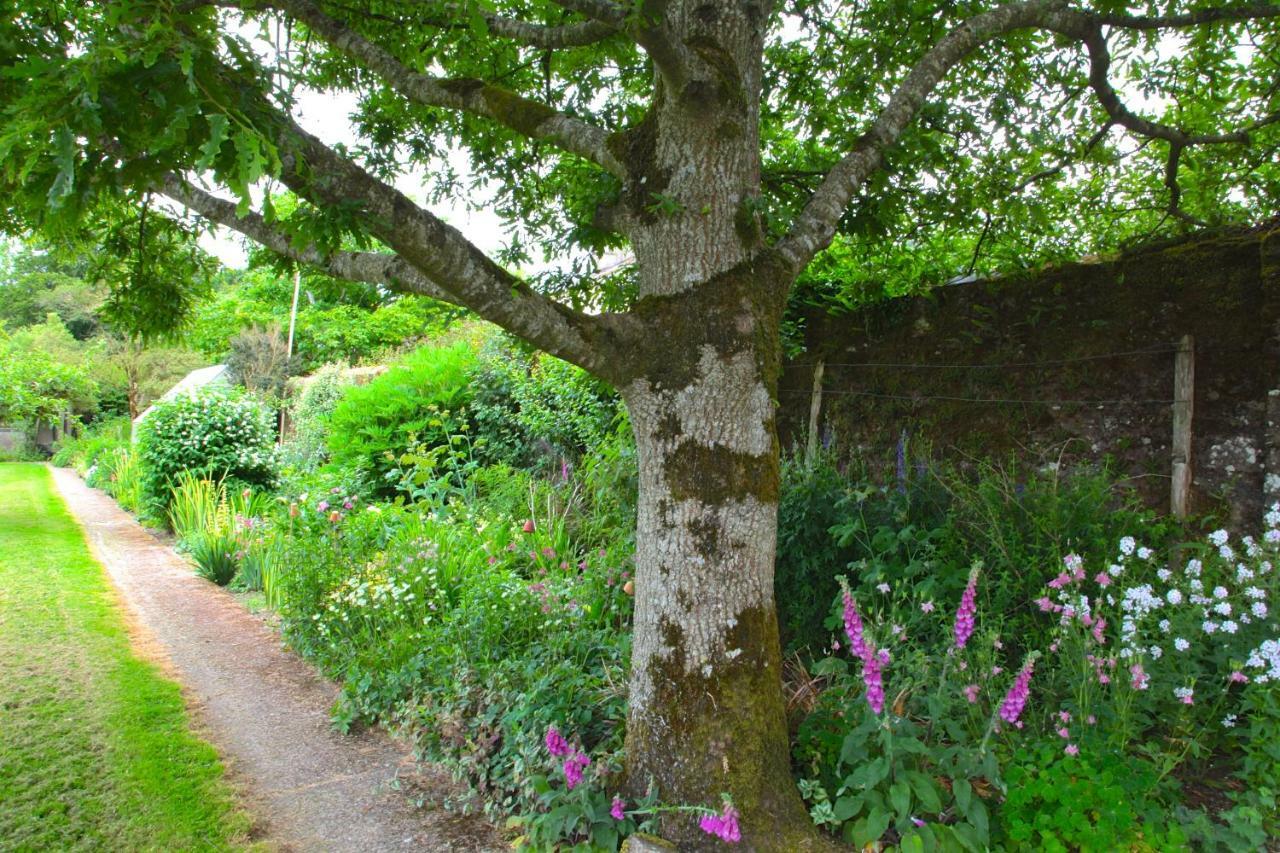 Willowhill House Minane Bridge Buitenkant foto